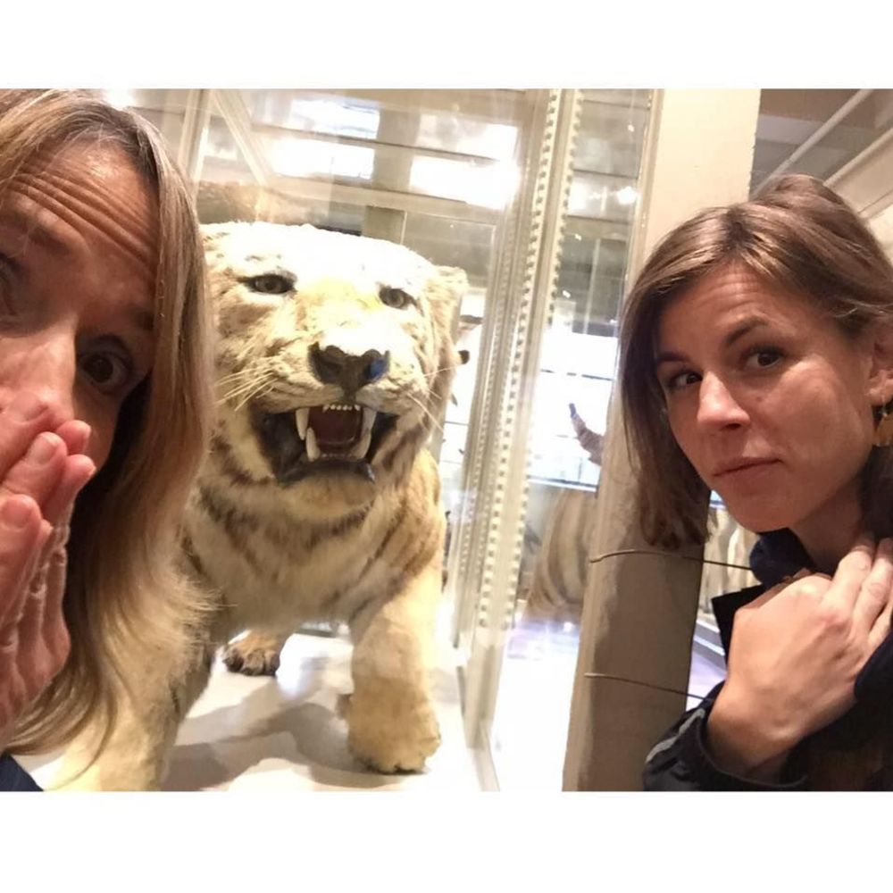 Meet your Posher, Amy